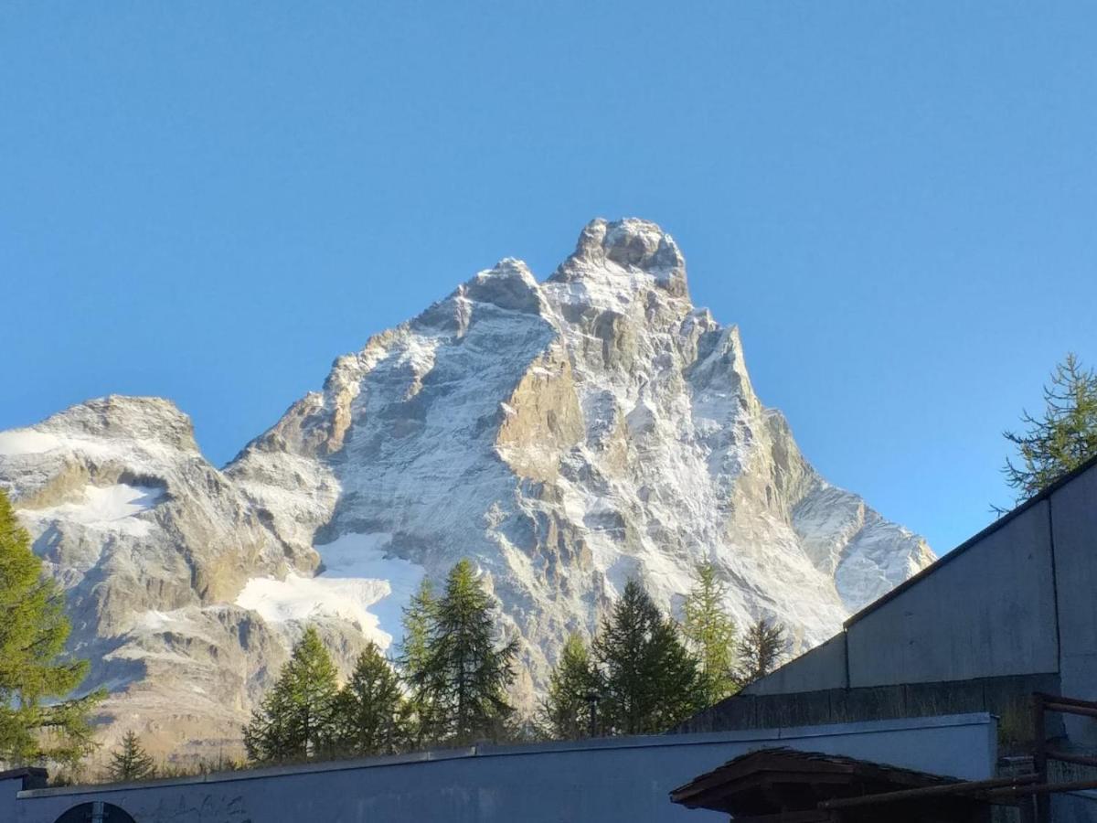 Soldanella Cervinia Apartment Vda Vacanze In Vetta Cir 0253 Breuil-Cervinia Εξωτερικό φωτογραφία