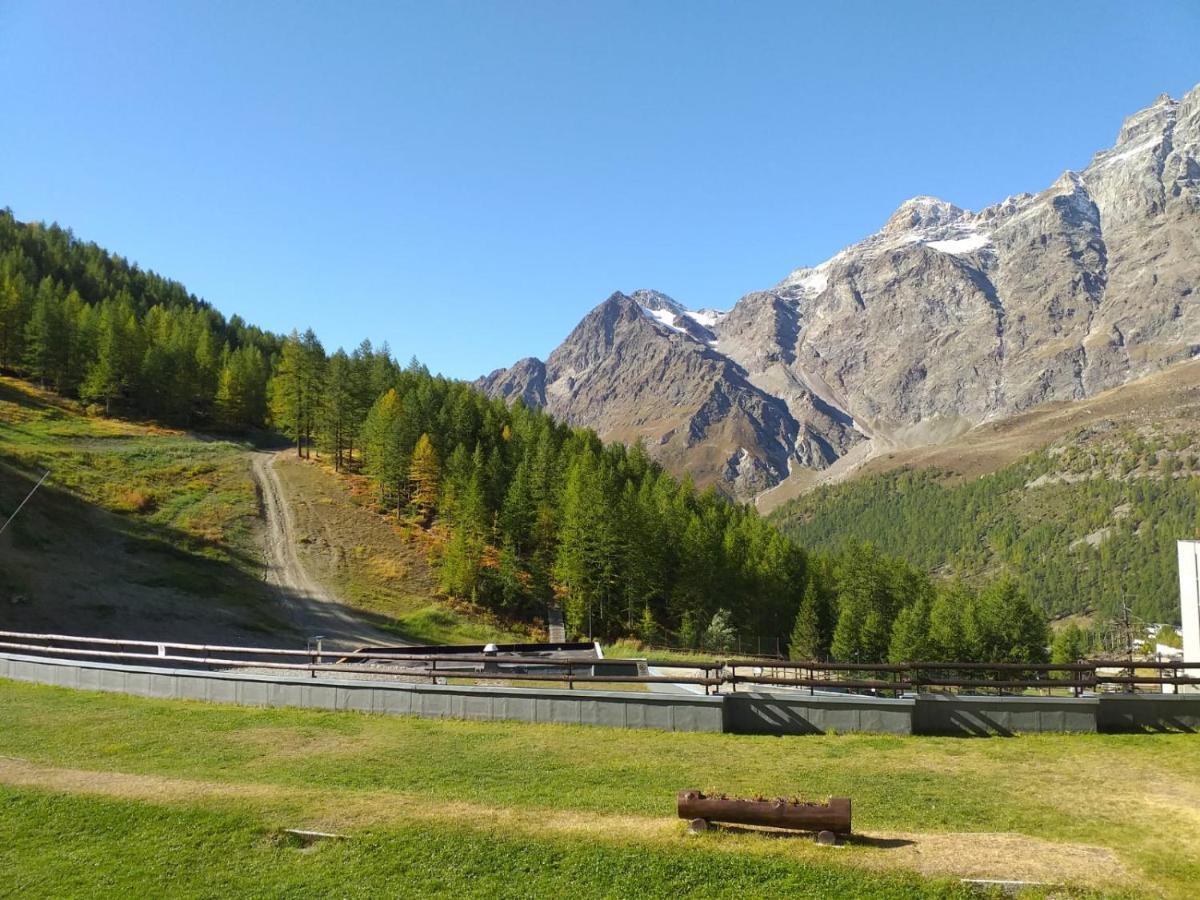 Soldanella Cervinia Apartment Vda Vacanze In Vetta Cir 0253 Breuil-Cervinia Εξωτερικό φωτογραφία